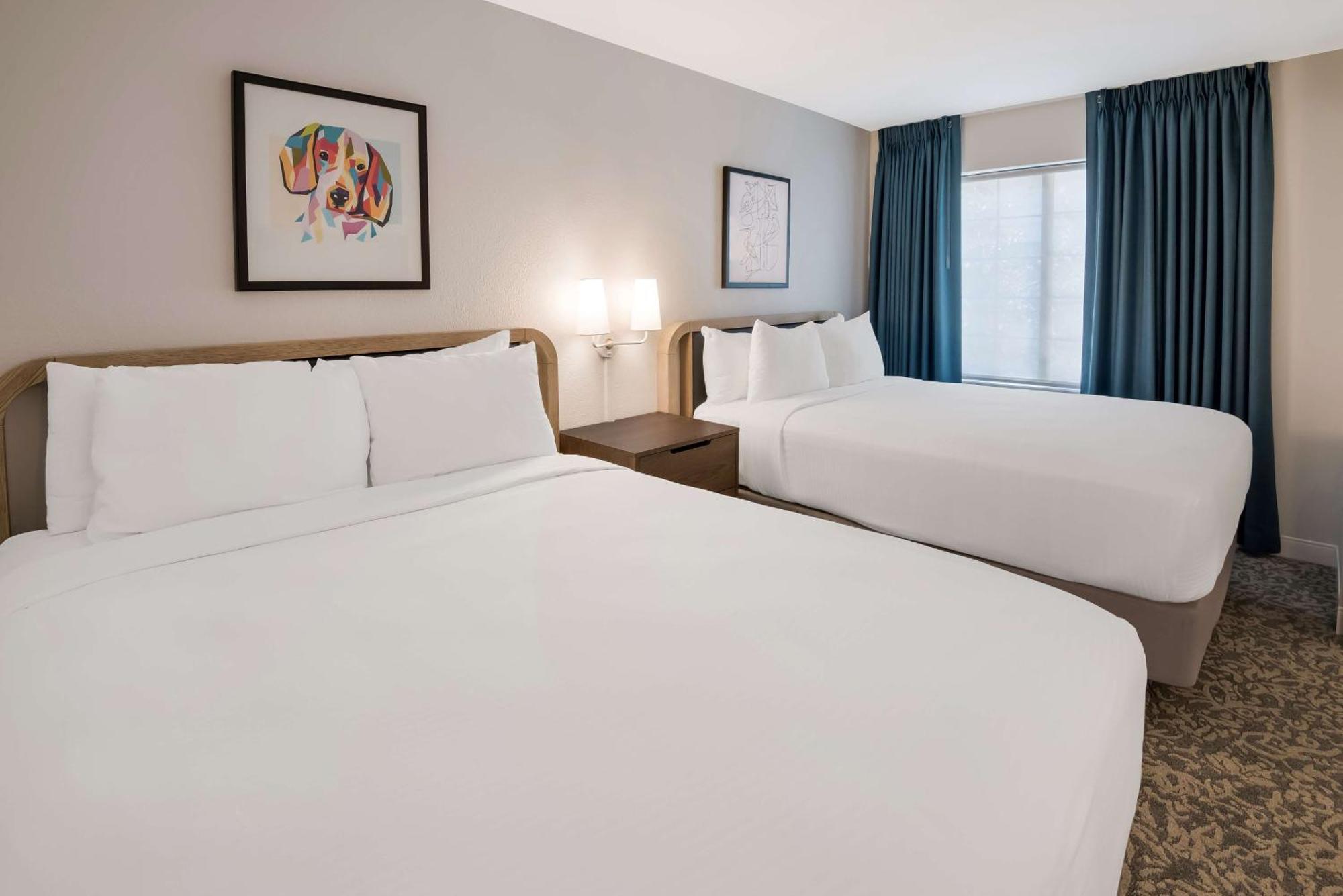 โซเนสตา อีเอส สวีท บอสตัน แอนโดเวอร์ Hotel ภายนอก รูปภาพ